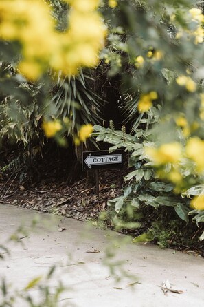 Ein Wegweiser mit Richtungshinweis nach links, umgeben von Grünpflanzen und einem Betonweg.