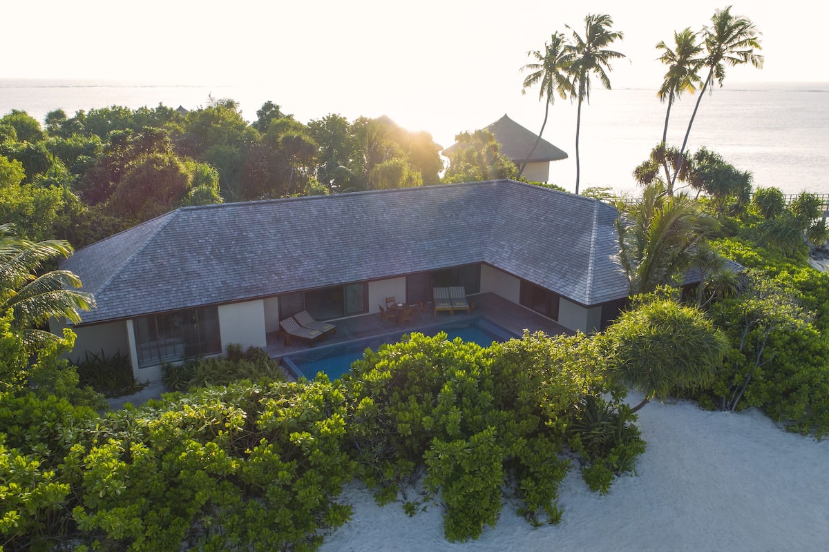 A modern house with a swimming pool surrounded by lush greenery and palm trees, overlooking a beach.
