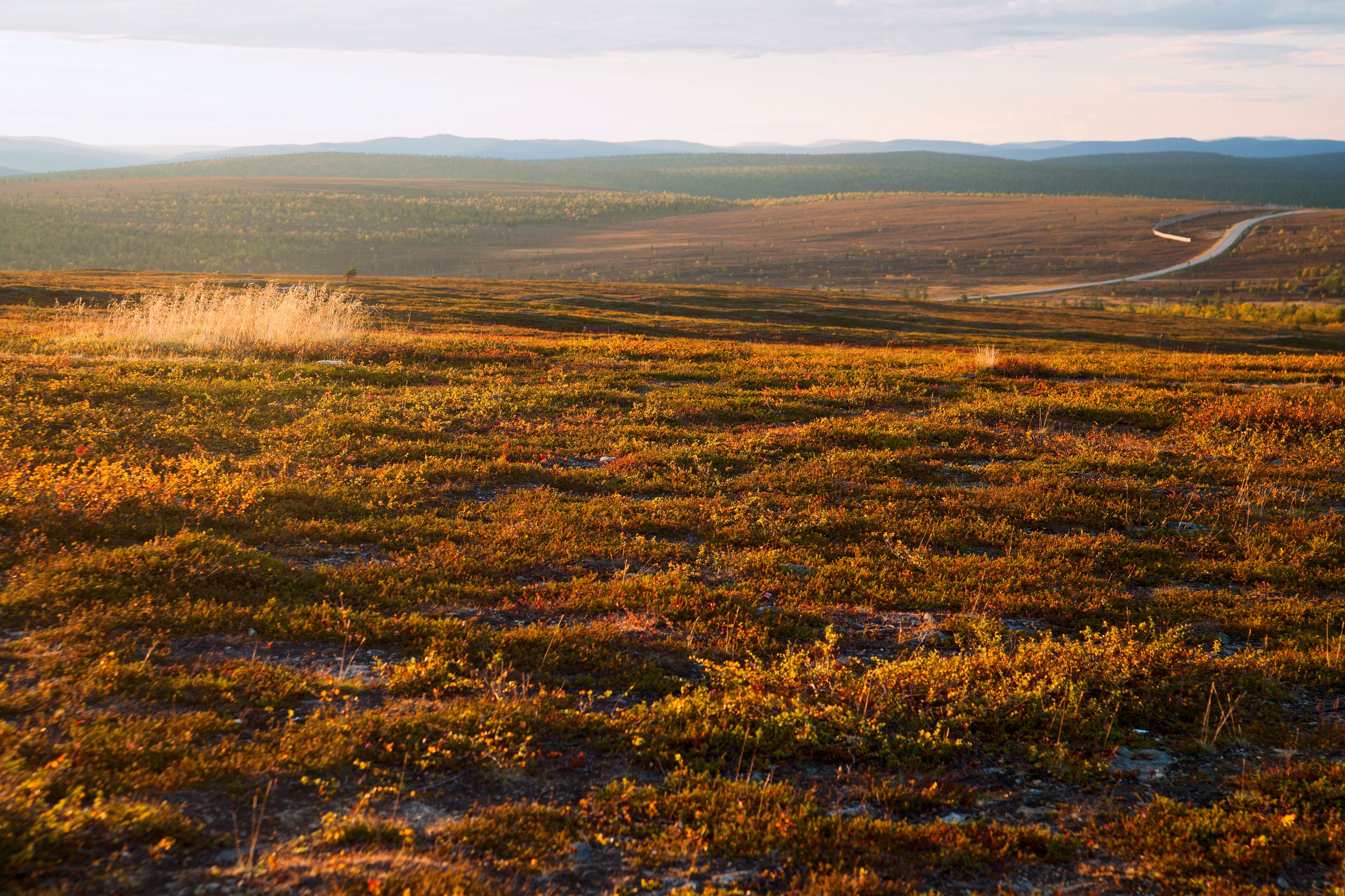 Un paisaje extenso y abierto con una carretera sinuosa que atraviesa un campo de vegetación baja.