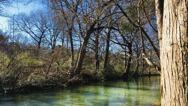 A clear river surrounded by trees. - Bella Rosa Cottage - Stroll to Wimberley Square! Cypress Creek just steps away (Wimberley)