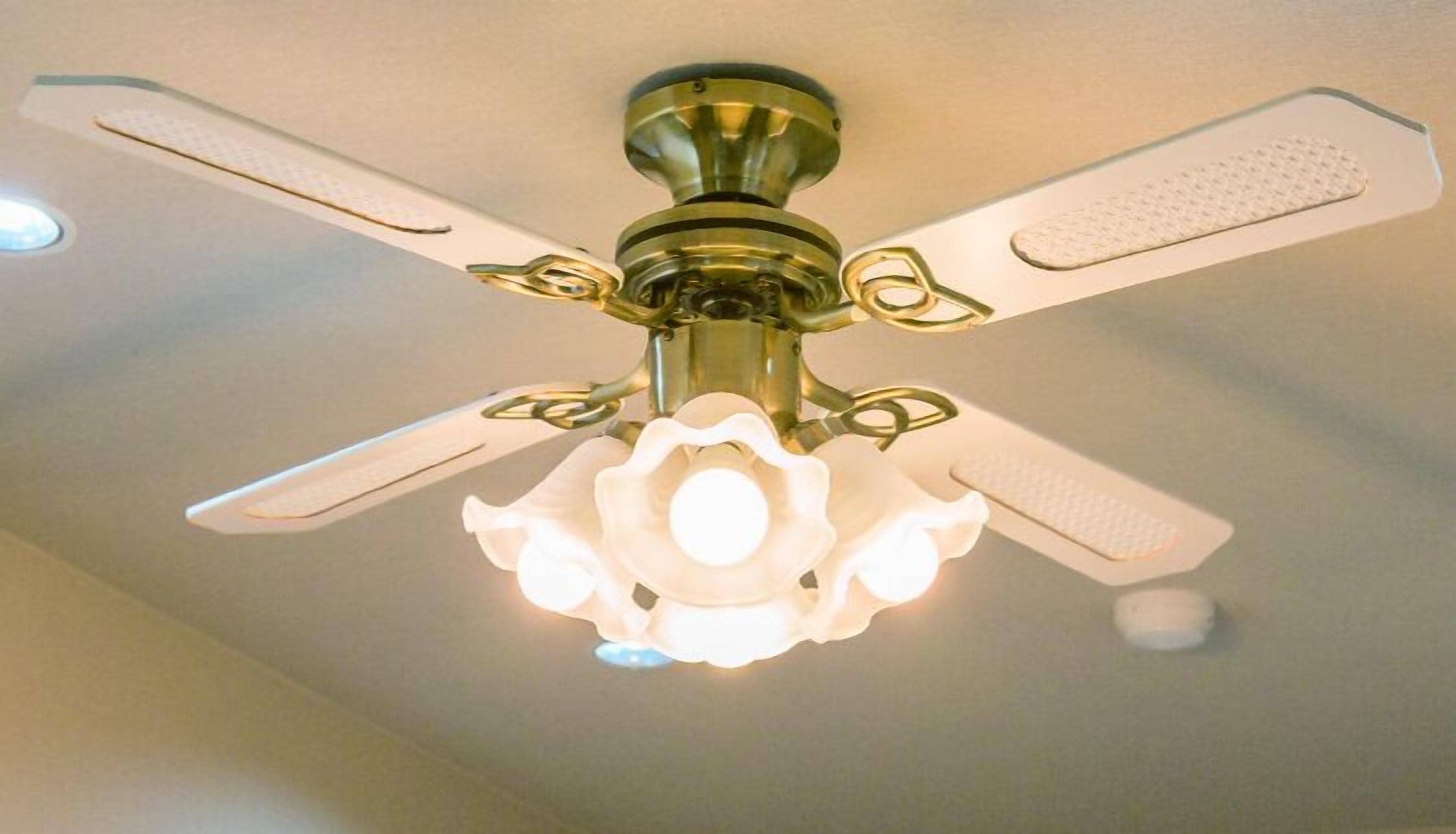 A ceiling fan with a light fixture.