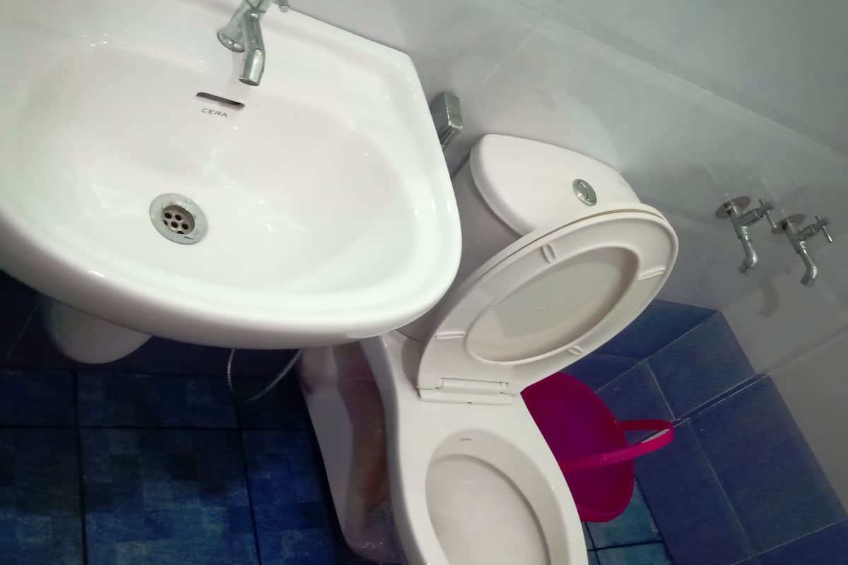 shower, bidet, towels