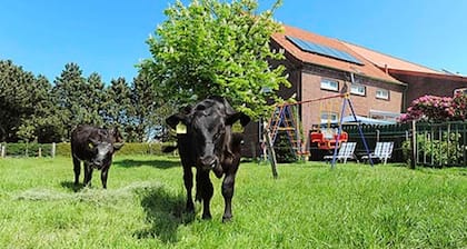 Ferienhof Janssen in Westerholt - Ferienwohnung