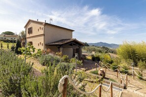 Property entrance - Villa Montegemoli (Pomarance)