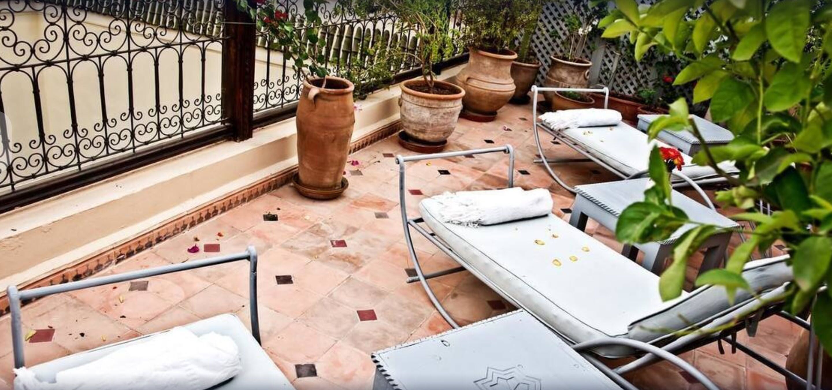Una terraza con sillones de descanso, una mesita y plantas en macetas.