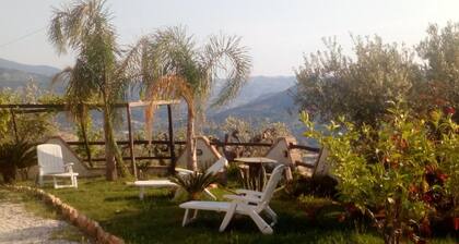 Guest House Casale 920