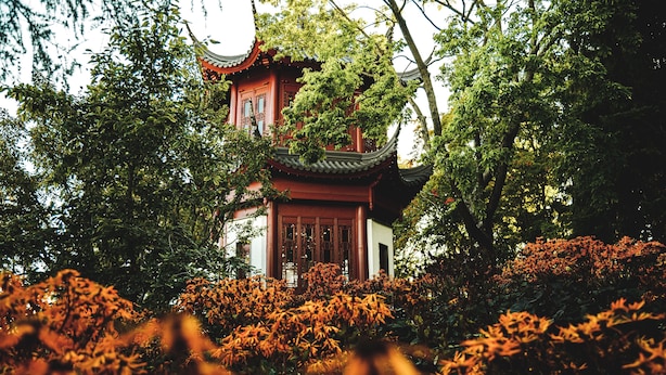 A traditional building with a red roof and wooden structure surrounded by dense foliage and flowering plants. - HoMa HomeStay Hotel by Olympic Stadium Montreal (Auberge/Hostel) (Montreal)