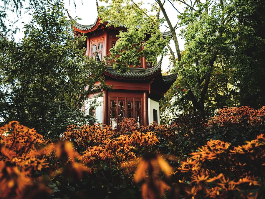 Japanese garden