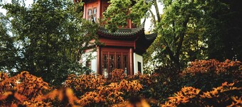 HoMa HomeStay Hotel by Olympic Stadium Montreal (Auberge/Hostel)