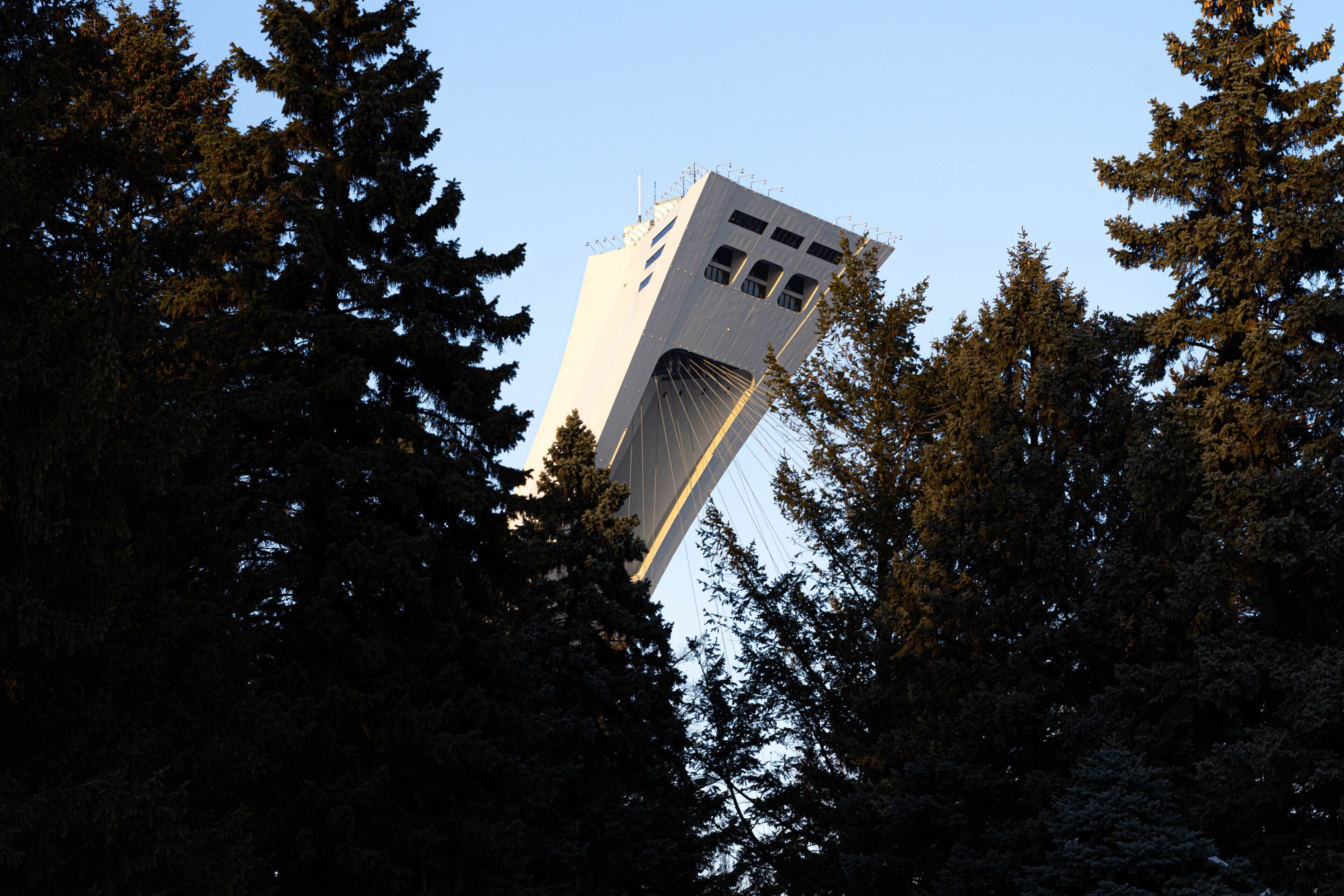 A tall, modern building with a unique, angular design, surrounded by dense forest.