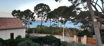 VACATION APARTMENT RENTALS