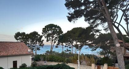 VACATION APARTMENT RENTALS