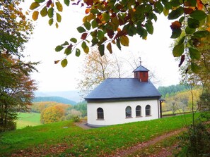 Land view from property