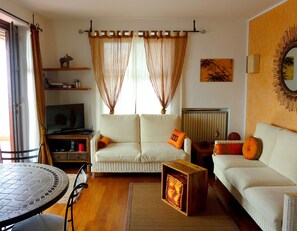 Una televisión, un reproductor de DVD, libros