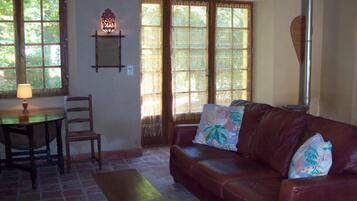 Télévision, cheminée, lecteur de DVD, livres