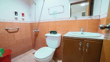 Regadera, amenidades de baño gratuitas, toallas 