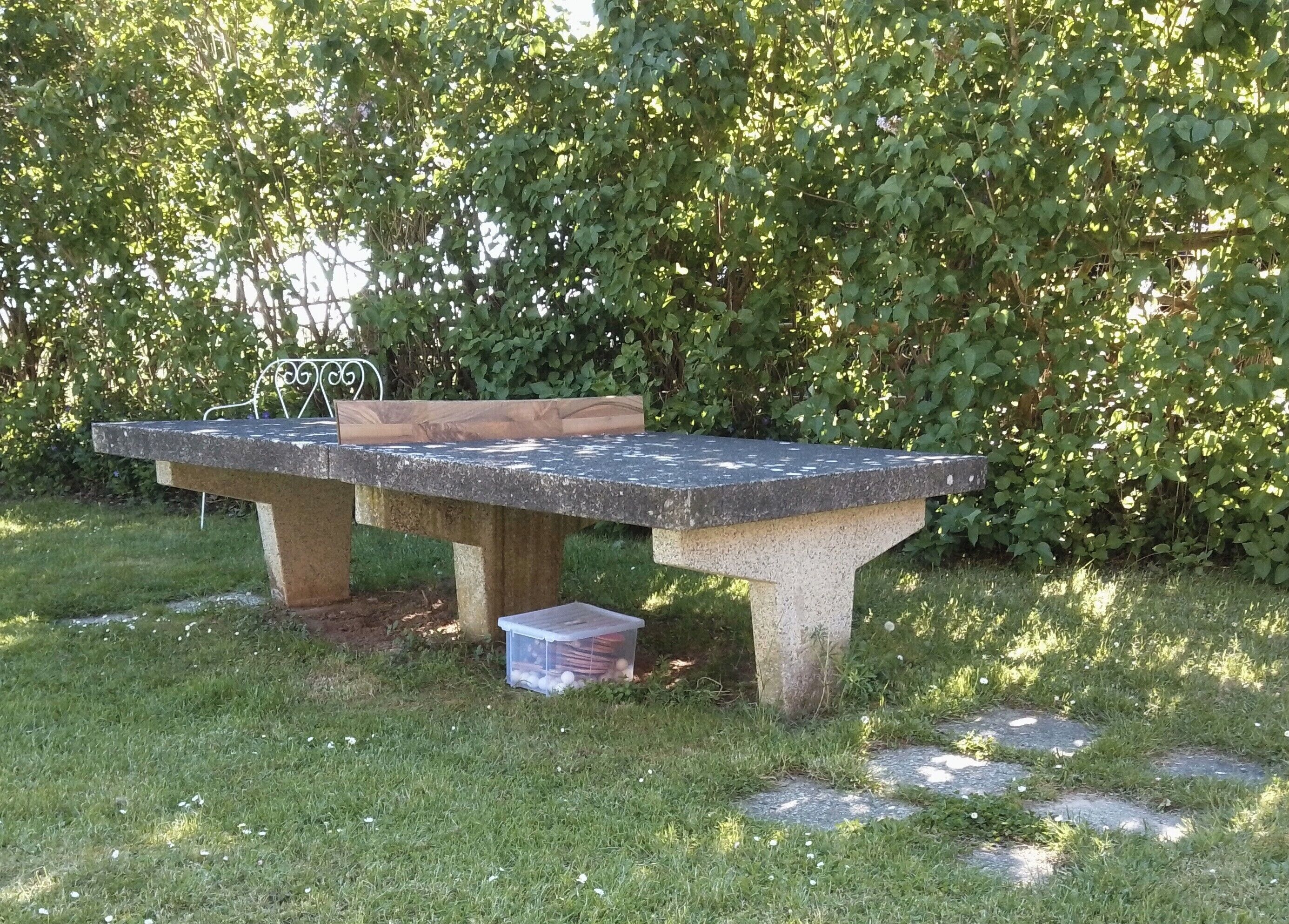 Un banc en pierre surmonté d’une assise en bois, entouré d’herbe et d’arbustes.