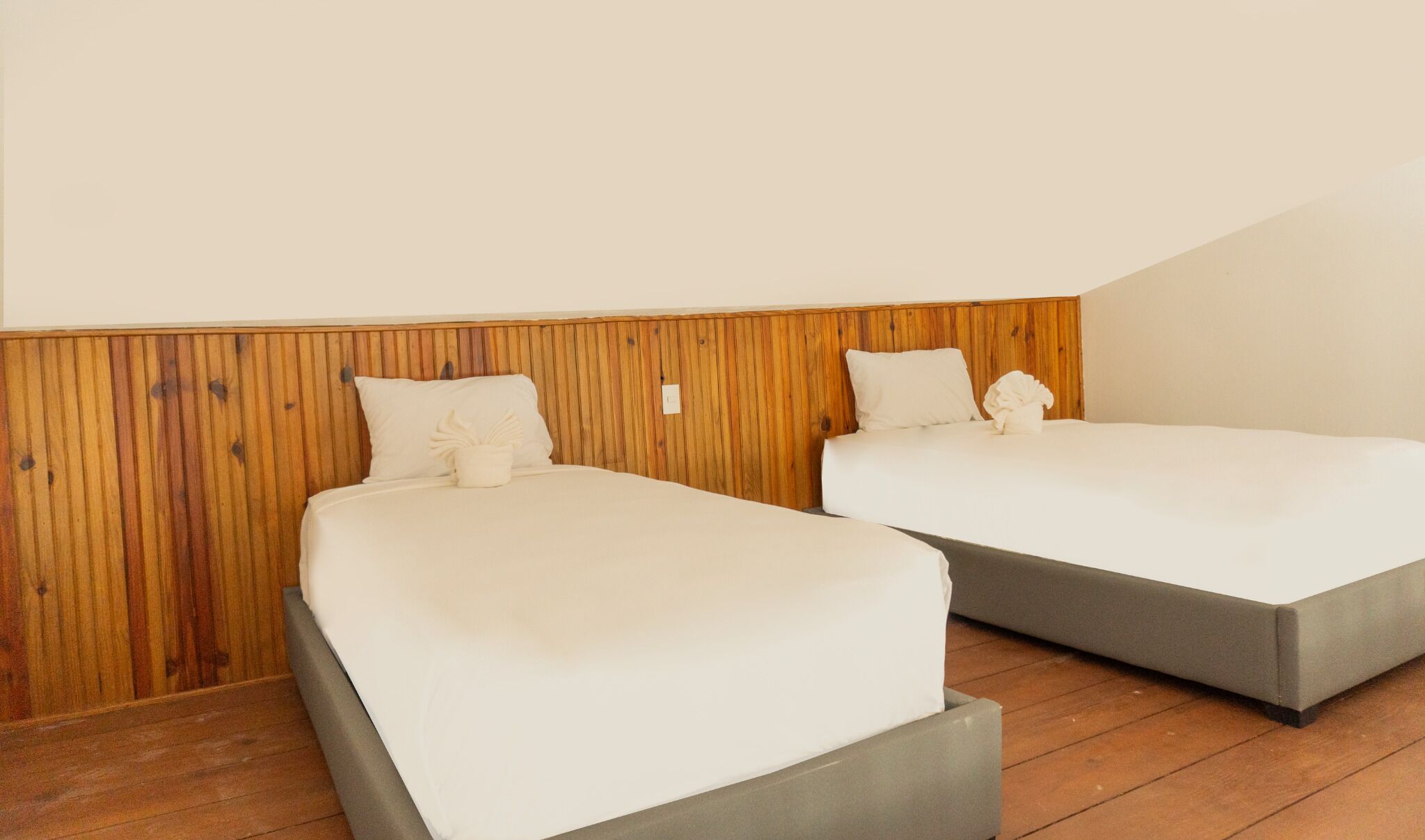 Foto - Checkin El Cortecito