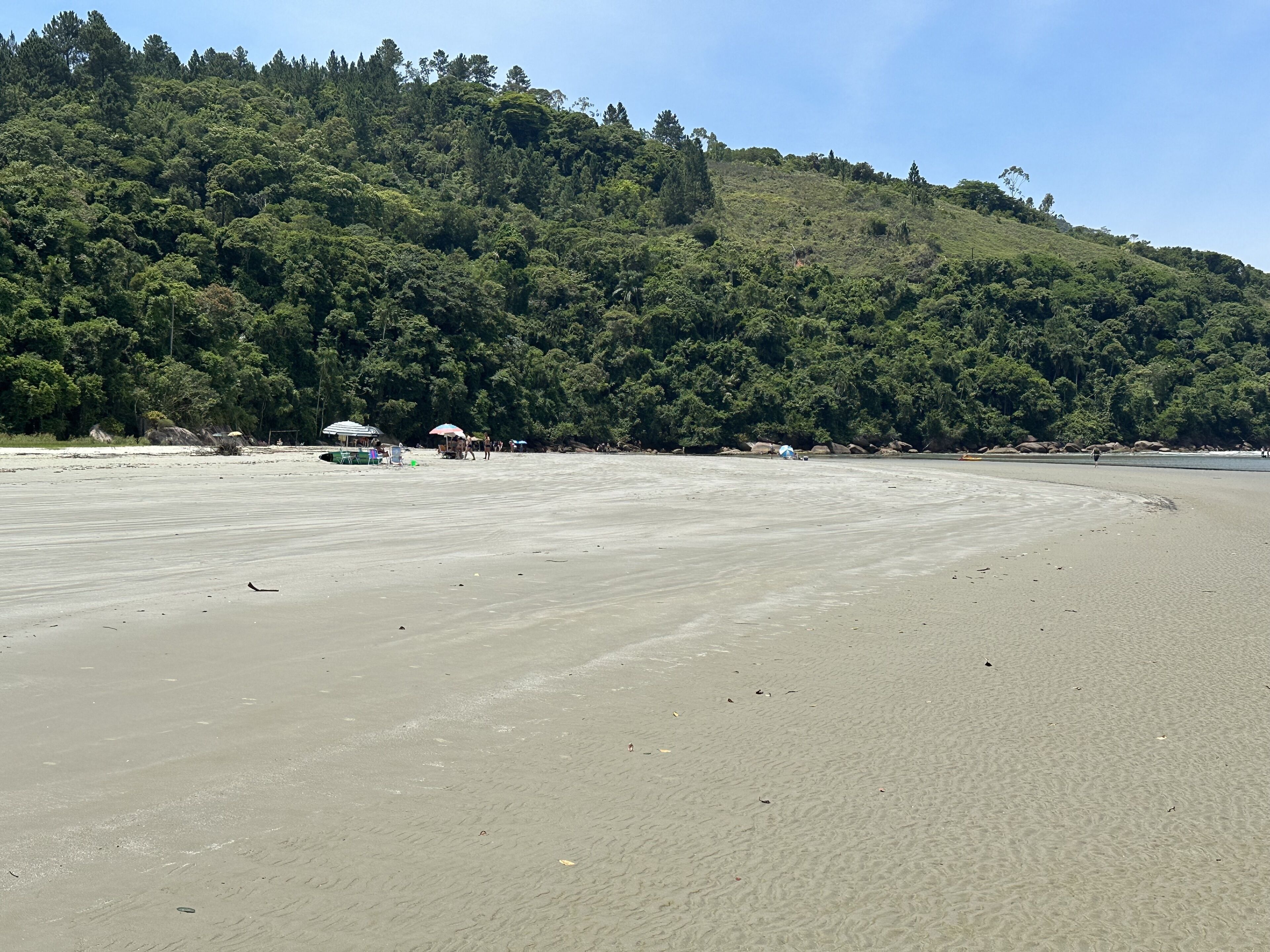 Uma praia com areal arenoso e uma colina arborizada ao fundo.