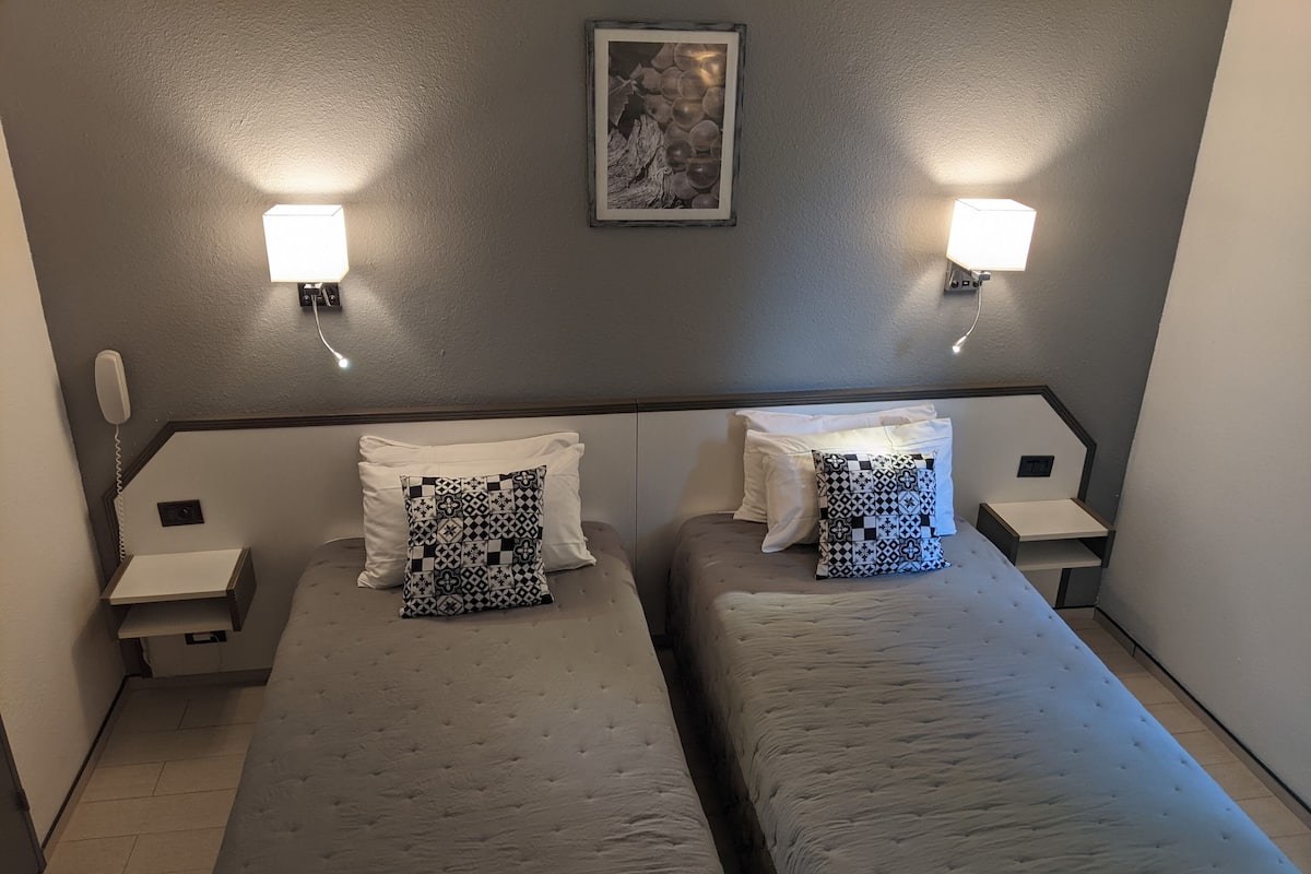A hotel room with two single beds, each with a patterned pillow and a white pillow. There are bedside tables with lamps and a phone on the left side. A framed picture hangs on the wall above the beds.