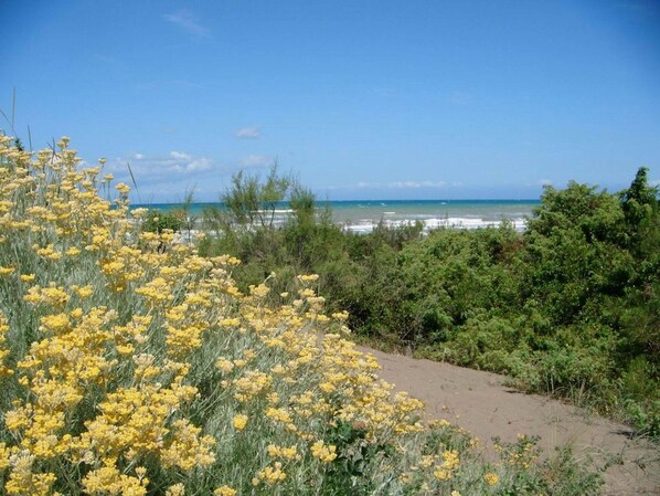 Unclassified image, 1 of 26, button - Apartment with a large terrace near the sea, in Marina di Castagneto. (Marina di Castagneto Carducci)