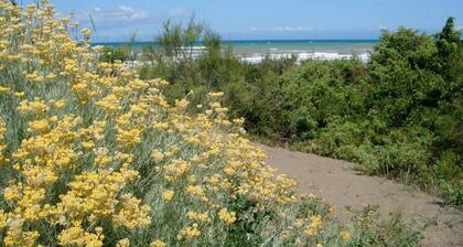 Ferienwohnung mit grosser Terrasse Meersnähe. Ireos.