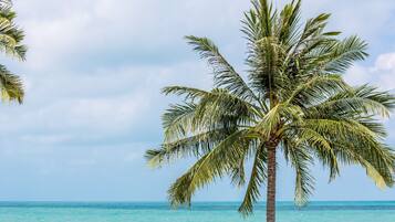 Am Strand, Strandtücher