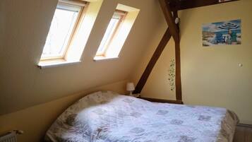 A bedroom with a bed, two skylights, a radiator, and a wall-mounted picture.