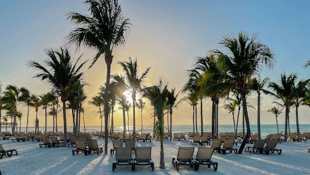 A beach with rows of sun loungers and palm trees, with the ocean in the background. - Barceló Maya Riviera - Adults Only - All Inclusive (Xpu-Ha)