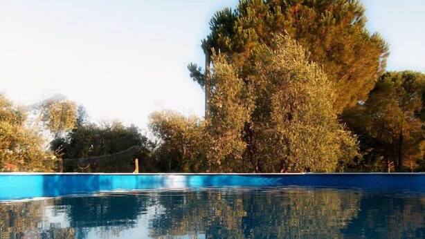 A clear blue swimming pool with reflections of trees and a clear sky. - Podere Castagno (Lorenzana)
