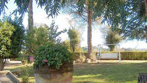 A large, weathered planter with a variety of plants and flowers, situated in a grassy outdoor area with trees and a swing set in the background. - Podere Castagno (Lorenzana)