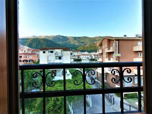 Standard Apartment | View from room