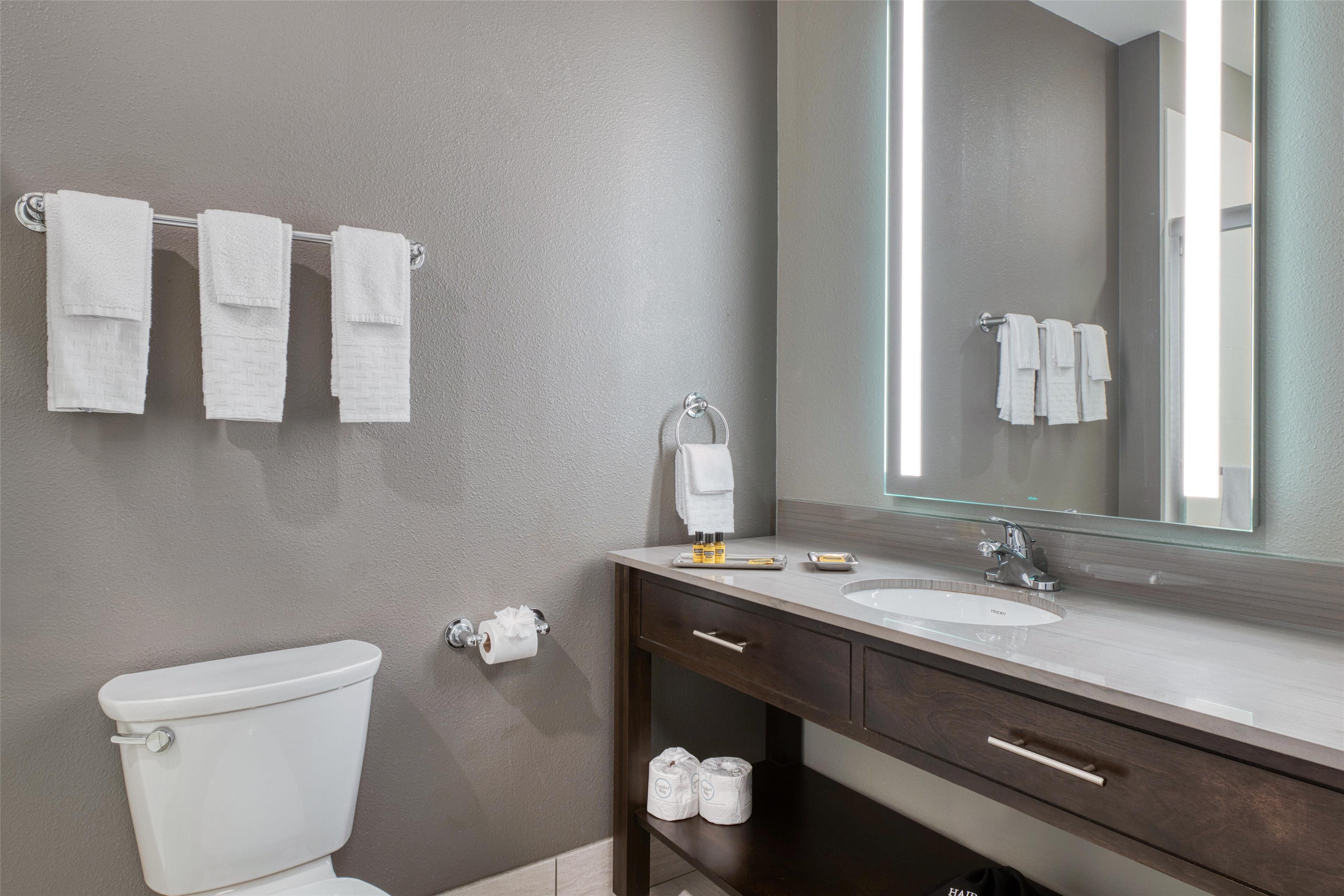 suite, 1 king bed, non smoking, kitchenette (with sofabed) | bathroom | combined shower/bathtub, hair dryer, towels