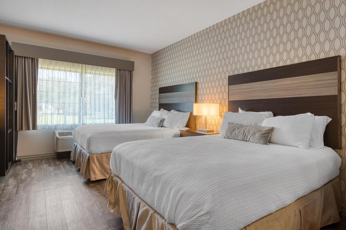 A hotel room with two beds, a patterned wall, and a large window with curtains.