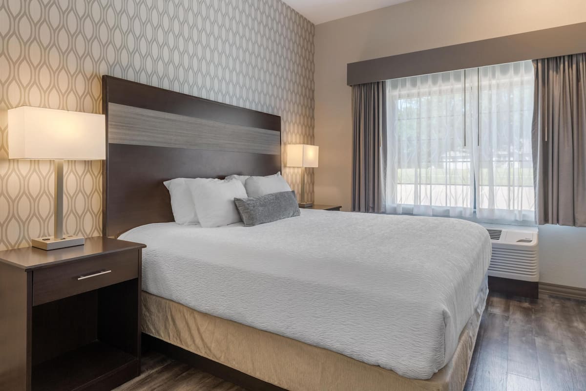 A hotel room with a large bed, two bedside lamps, a nightstand with a drawer, a window with curtains, and a wall with a geometric pattern.