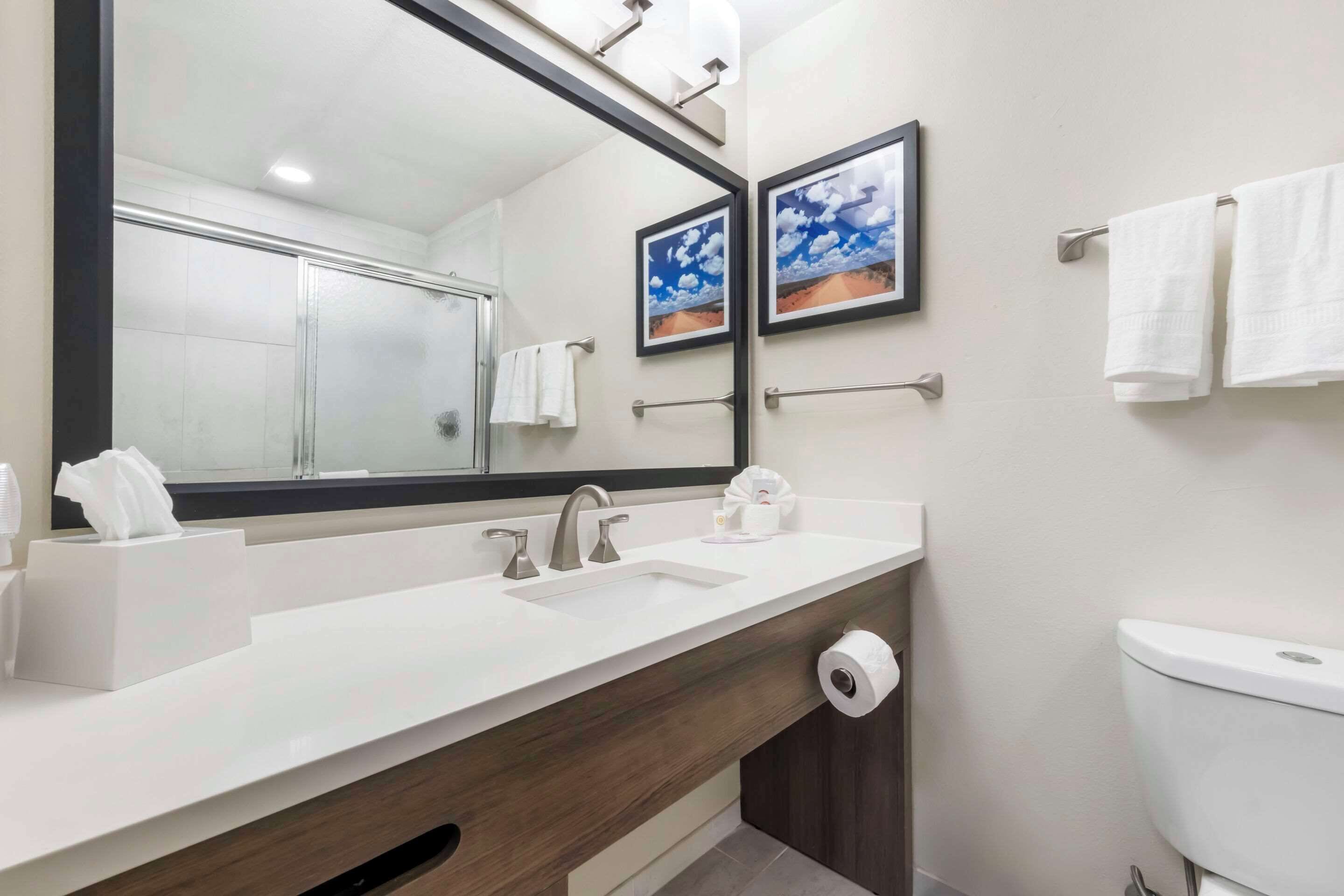 standard room, 1 king bed, non smoking | desk, laptop workspace, iron/ironing board, free wifi