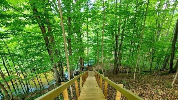 A wooden staircase leading into a forested area with a railing on both sides. - On the Betsie River, fish off dock, close to Crystal Mountain, trails, lakes! (Thompsonville)