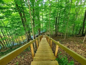 المنطقة المحيطة بالمنشأة