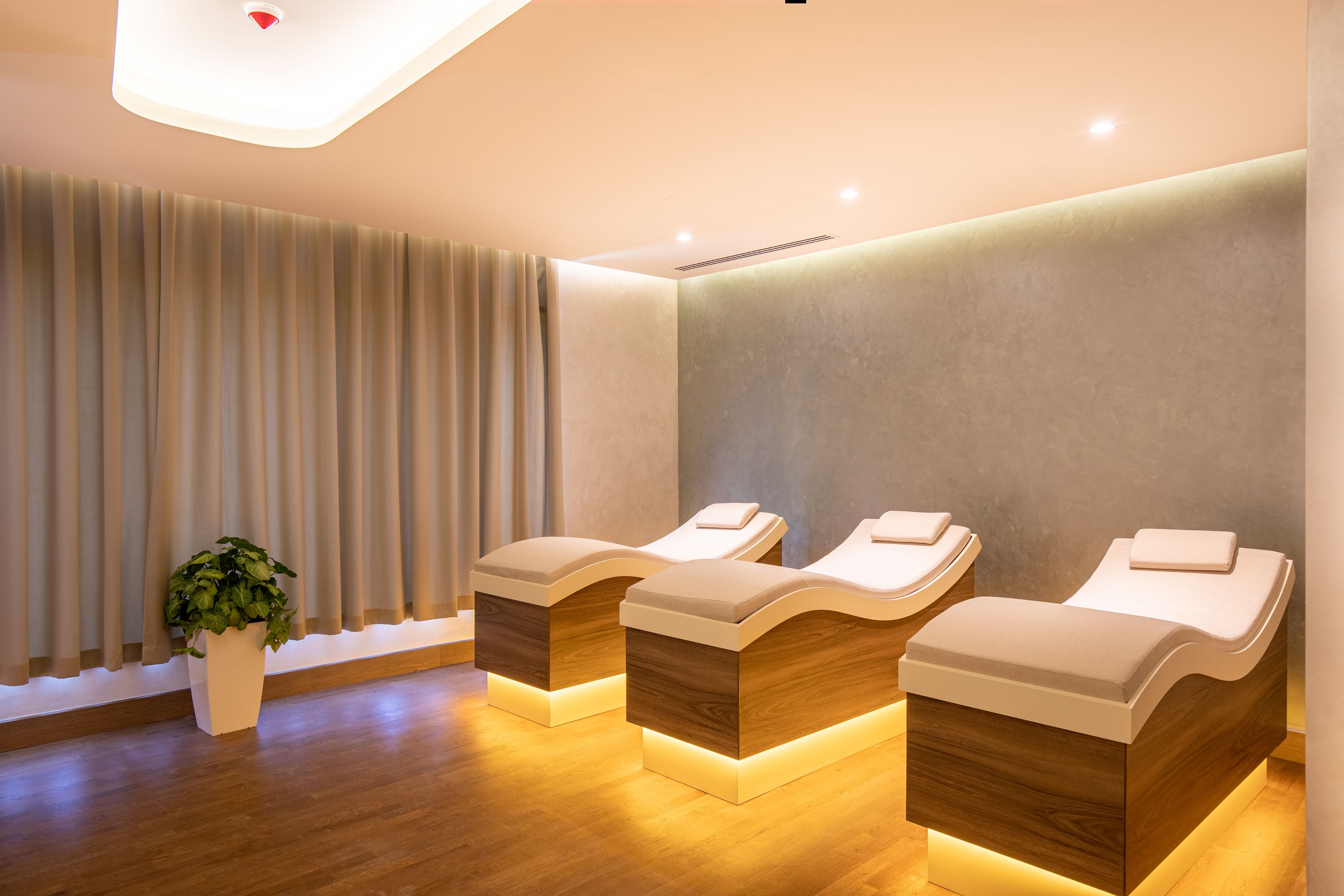 A spa room with three massage tables, a potted plant, and a large window with curtains.