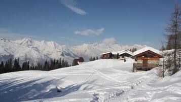 Deportes de invierno y ski