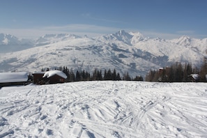 Sneeuw- en skisporten