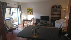 TV, fireplace, DVD player, books
