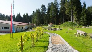A vineyard path leading to a building with a red roof, surrounded by a forest. - Haus am Waldpark (Scheidegg)