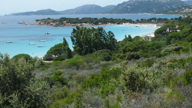 Eine Küstenlandschaft mit Strand, Booten und üppiger Vegetation.