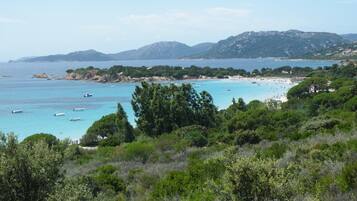 Accommodatie ligt op het strand, ligstoelen