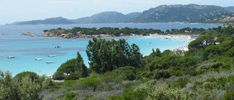 Plage, chaises longues