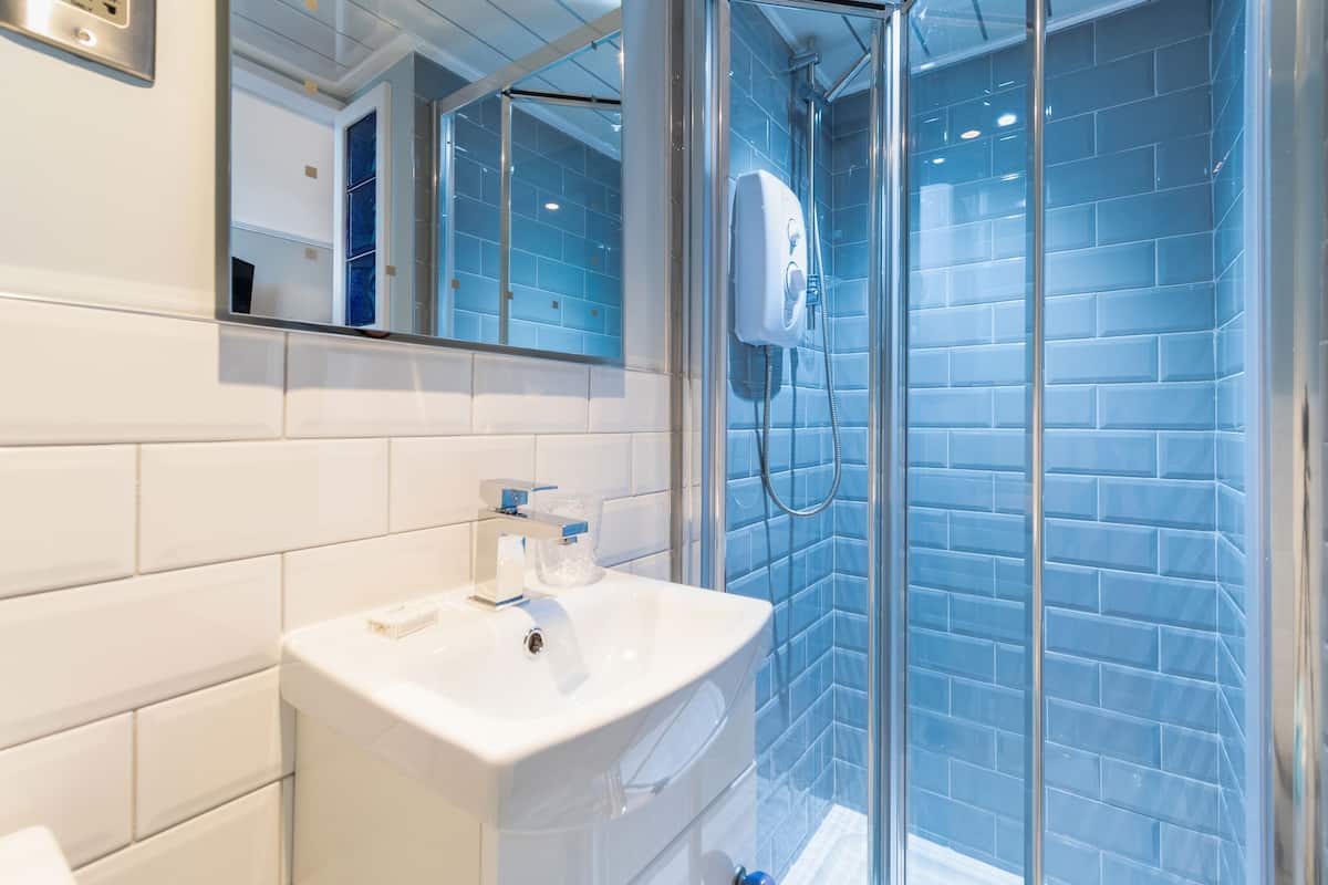 deluxe single room, 1 double bed | bathroom | shower, hair dryer, towels