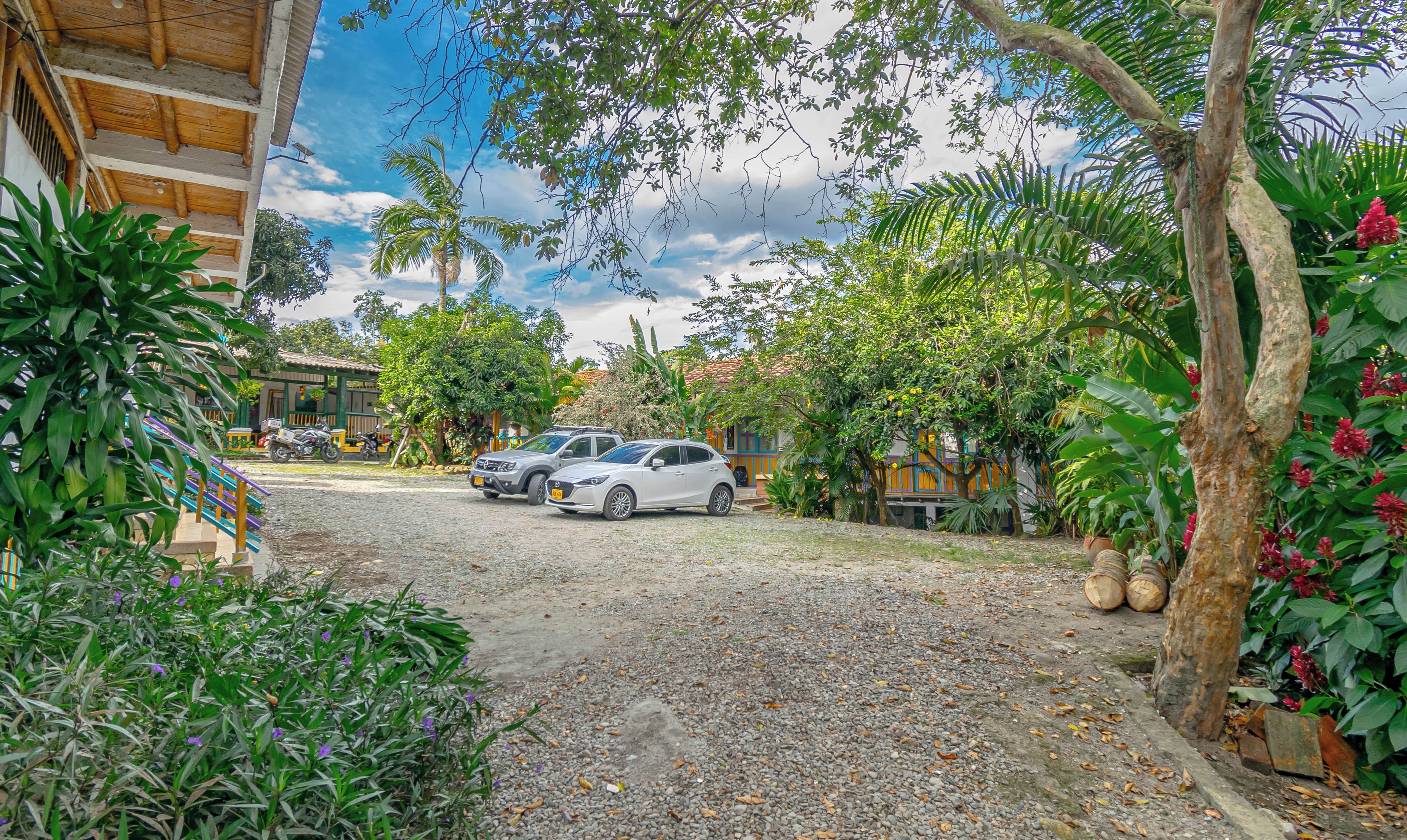 A gravel driveway leading to a building with parked cars, surrounded by lush greenery and trees.