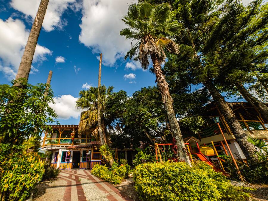 Un resort tropical con un sendero que lleva a un edificio rodeado de palmeras y abundante vegetación.