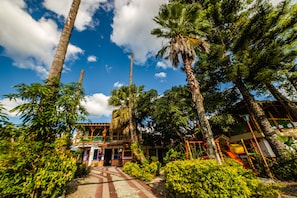 Garden - Eco Hotel Las Palmas (Armenia)